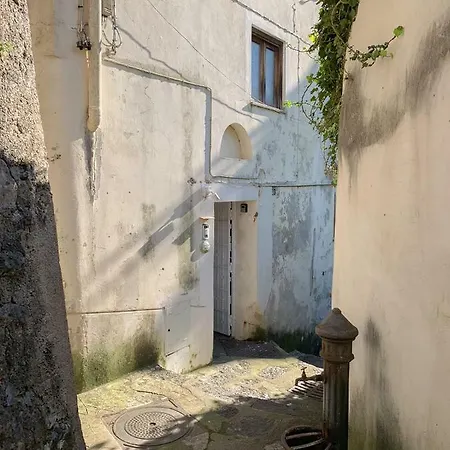 Freeholiday House *